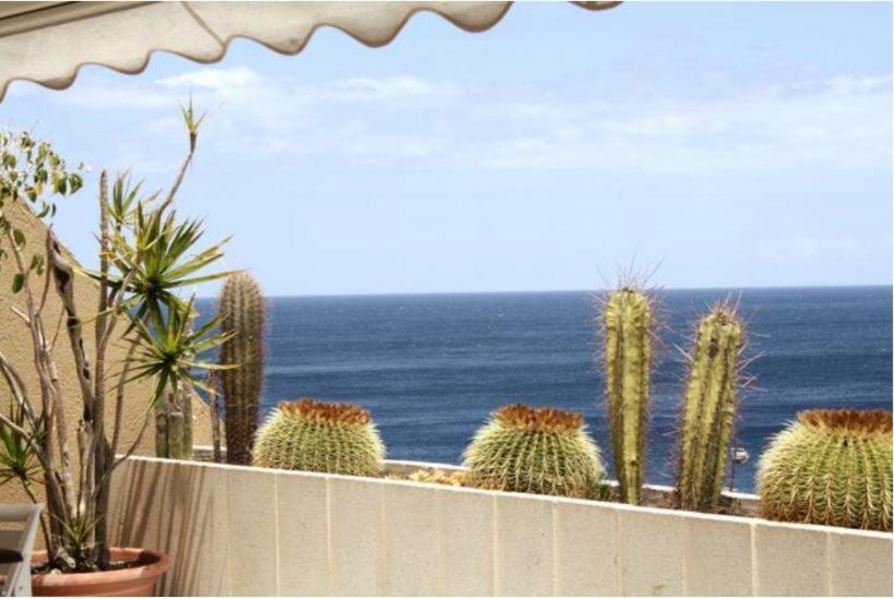 Apartamento Frente Al Mar Radazul Екстер'єр фото